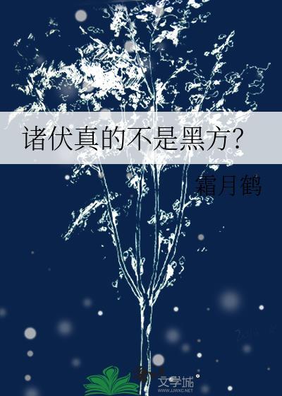 诸伏真的不是黑方?28