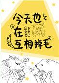 今天也在互相掉毛免费