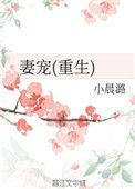 宠妻笔趣阁