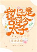 我儿子是古穿今太子全文阅读