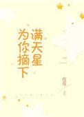 为你摘下满天星什么歌