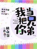 我把你当兄弟晋江