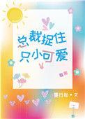 总裁捉住只小可爱资源