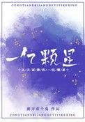 从天而降的一亿颗星星简介