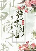 卸甲后我待字闺中全文