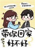 带你回家好不好在线阅读