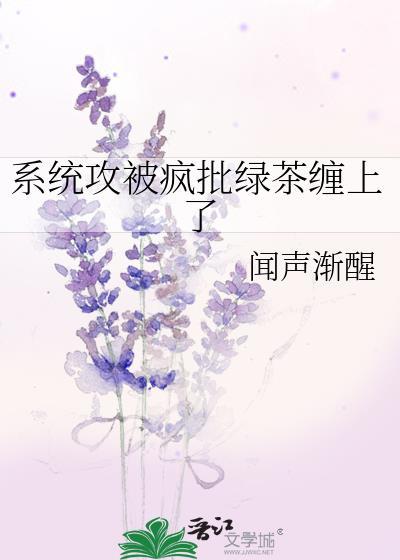 系统受攻略