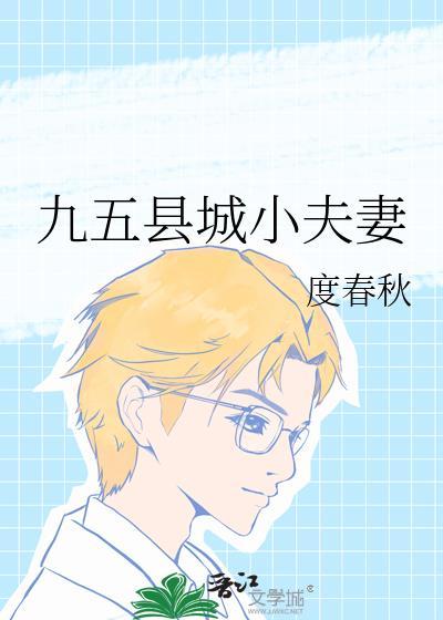 九五县城小夫妻TXT