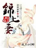 锦上妻讲的什么