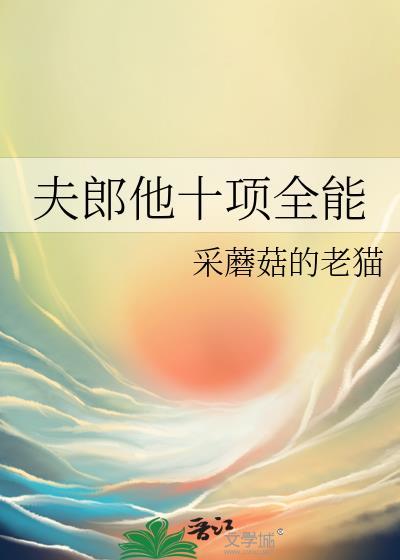 夫郎他十项全能百度