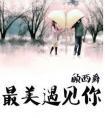 最美的时候遇见你在线观看完整版