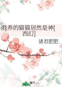 我养的猫怎么可能是个美少女全集