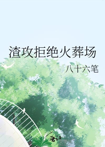 渣攻拒绝火葬场八十六笔