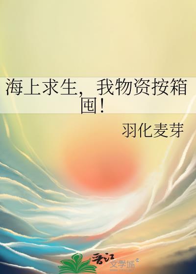 海上求生安装