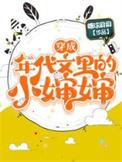 穿成年代文里的小婶婶免费阅读无弹窗