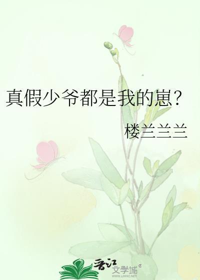 真假少爷 未删节