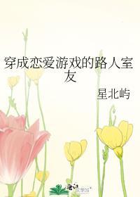 穿成恋爱游戏女主笔趣阁