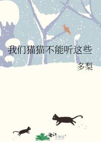 猫咪不能听