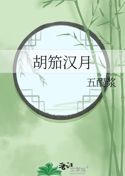 胡笳汉月分集剧情