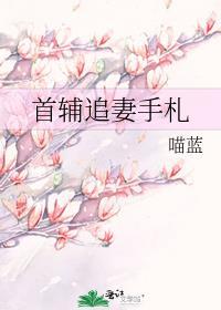 首辅大人的追妻日常