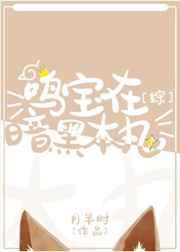 鸣宝在暗黑本丸作者月半时