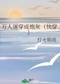 万人迷穿成炮灰(快穿)番外