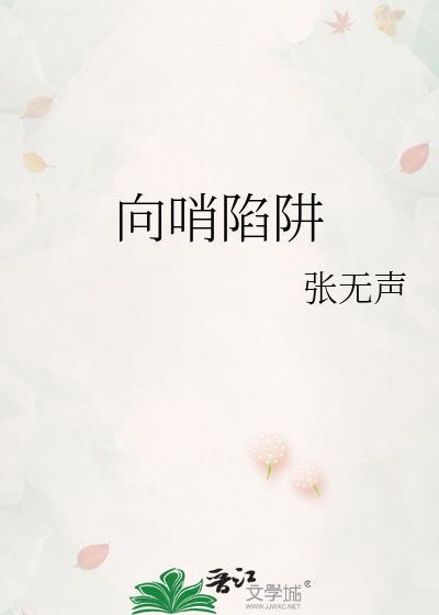 向哨陷阱讲的什么