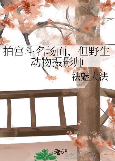 野生动物 拍摄