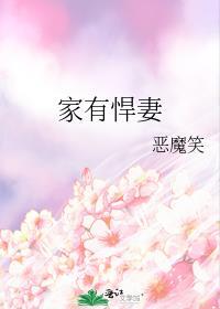家有悍妻动漫在线观看