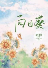 向日葵盘中跌幅达5%