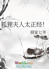 狐狸夫人写的