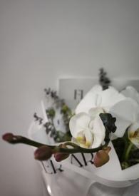 第一章 我的未婚妻