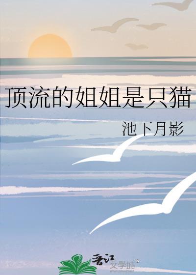 顶流的姐姐是只猫百度