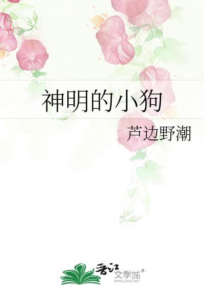 神明的祝福免费阅读