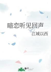 暗恋听见回声番外txt百度