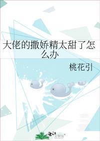 大佬撒糖指导