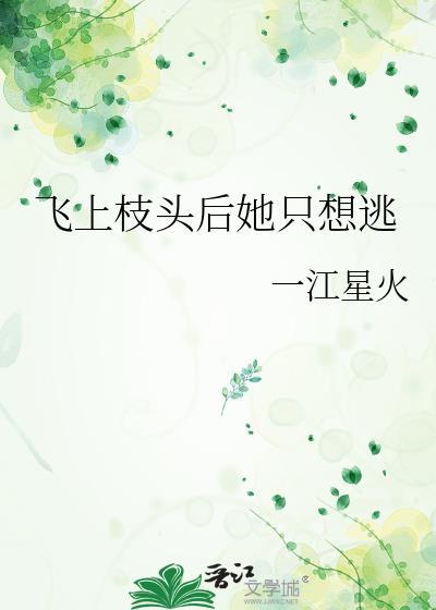 飞上枝头全文阅读