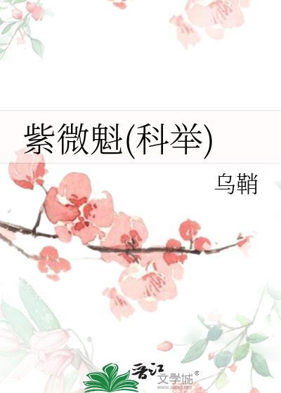 紫微指什么