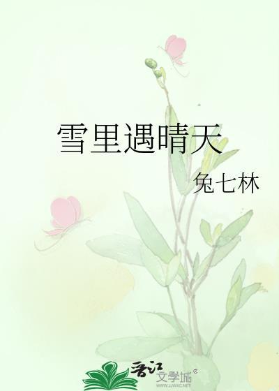雪里遇晴天 txt