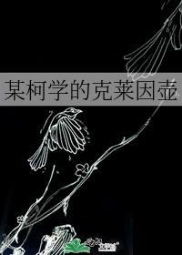 克莱因壶中解说谁写的