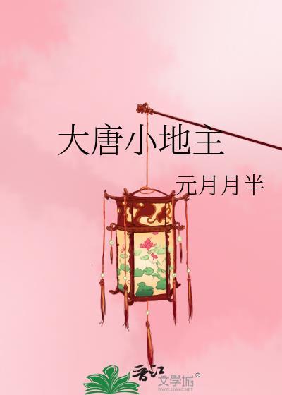 大唐小地主林凡51集