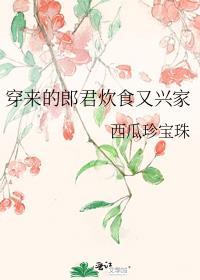 穿来的郎君炊食又兴家番外