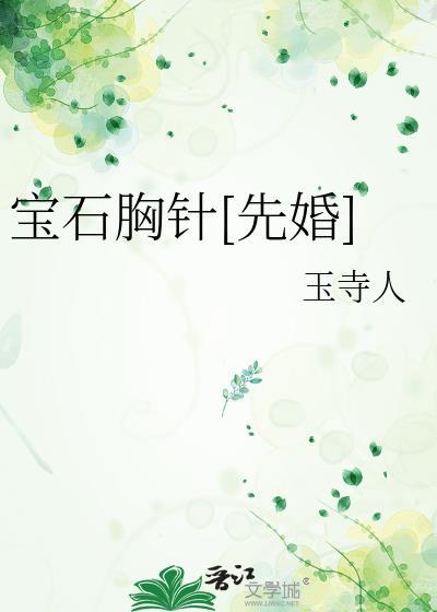 男士宝石胸针