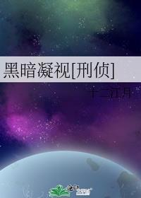 电视剧凝视黑夜剧情介绍