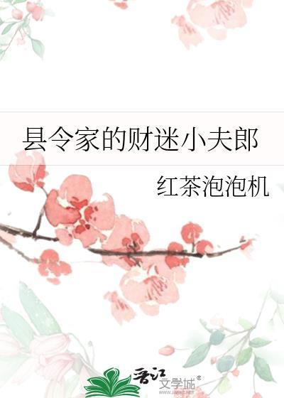 县令家的财迷小夫郎全文阅读