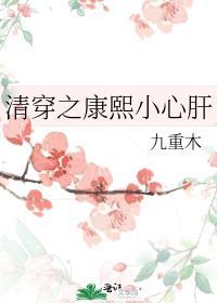 清穿之康熙心尖宠晋江