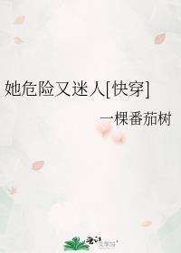 她危险又迷人快穿一棵番茄树笔趣阁