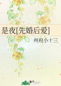 是夜先婚后爱州府十三讲了什么