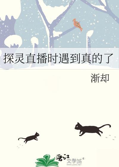探灵直播时遇到真的了吗