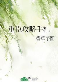 重臣攻略手册讲什么